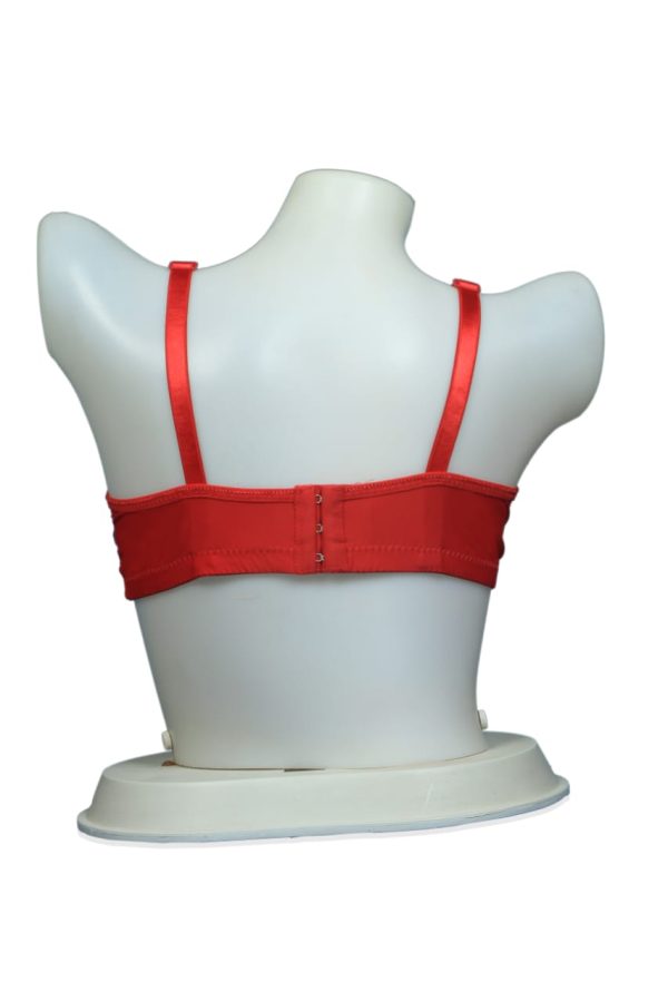 Top Wear Padded Bra