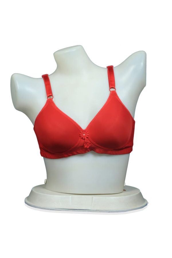 Top Wear Padded Bra