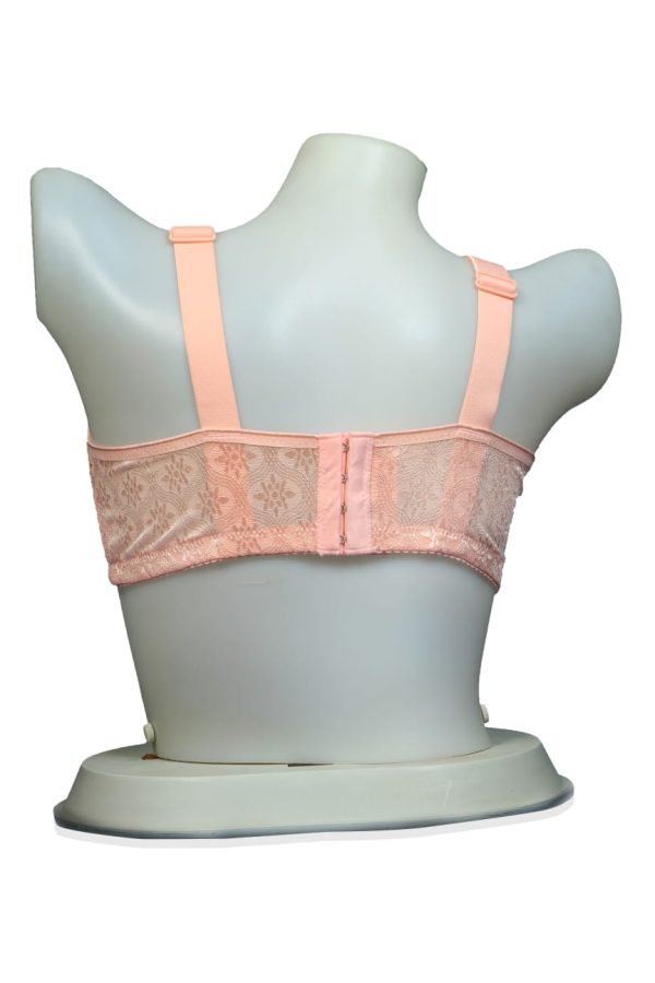 Comfortable Light Padded Bra